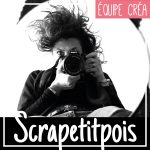 Alias Scrapetitpois